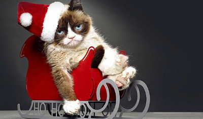 Happy Cat Ho Ho Ho.jpg