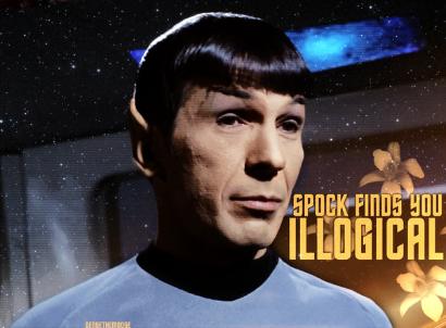 Spock_Finds_You_Illogical_by_densethemoose_1_-410x302.jpg