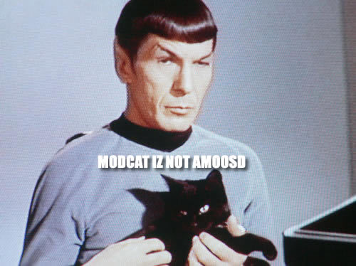 spock-cat.jpg