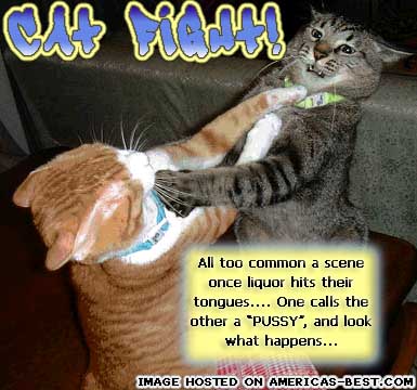 pics_cat-fight.jpg