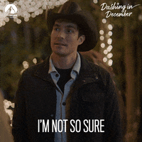 Im Not Sure Peter Porte GIF by Paramount Network